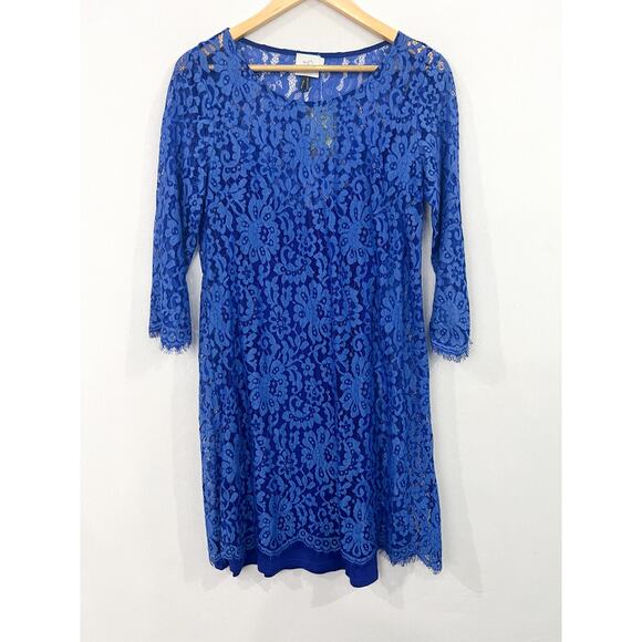 NEW Anthro Cobalt Blue Lace Overlay Shift Dress size Small Winter Boho - Picture 2 of 9